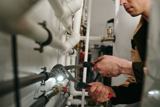 Best Local Plumber Services  in South San Jose Hills, CA