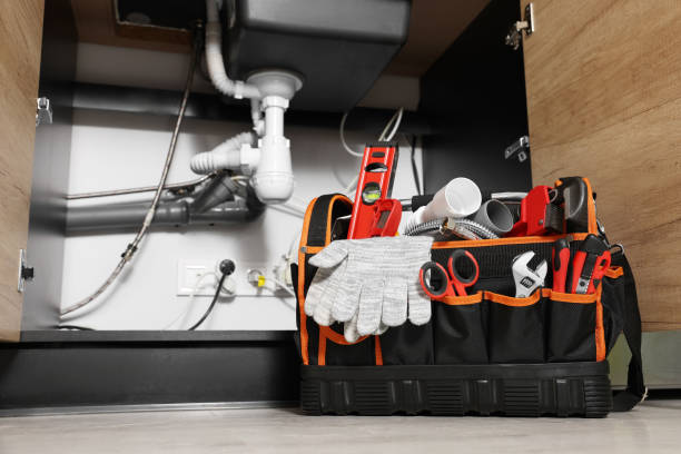 Best Toilet Repair Services  in South San Jose Hills, CA